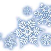 ヒメ日記 2025/12/20 18:48 投稿 若宮 はつみ SUMIRE