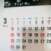 ヒメ日記 2026/03/02 11:43 投稿 若宮 はつみ SUMIRE