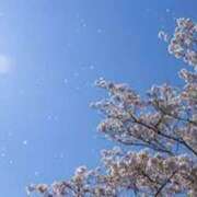 たむ リクエスト予約のお詫び 神戸人妻花壇