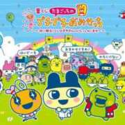 ヒメ日記 2025/03/24 23:40 投稿 まこと チューリップ姫路店