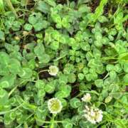 ヒメ日記 2025/05/17 13:56 投稿 まこと チューリップ姫路店