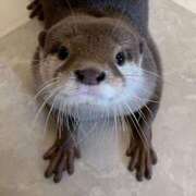 ヒメ日記 2025/06/07 22:28 投稿 まこと チューリップ姫路店