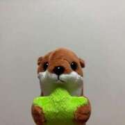 ヒメ日記 2025/06/11 21:58 投稿 まこと チューリップ姫路店