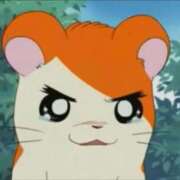 ヒメ日記 2025/06/24 20:10 投稿 まこと チューリップ姫路店