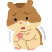 ヒメ日記 2025/08/15 20:53 投稿 まこと チューリップ姫路店