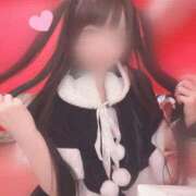 ヒメ日記 2024/12/15 18:20 投稿 アリス【素人系オナニスト】 バニーコレクション 中洲店