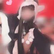 ヒメ日記 2024/12/21 09:46 投稿 アリス【素人系オナニスト】 バニーコレクション 中洲店