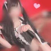 ヒメ日記 2025/04/19 09:45 投稿 アリス【素人系オナニスト】 バニーコレクション 中洲店