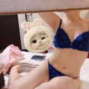 ヒメ日記 2025/11/12 13:51 投稿 つぐみ MIKADO