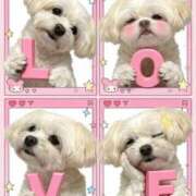 ヒメ日記 2026/03/31 00:02 投稿 つぐみ MIKADO