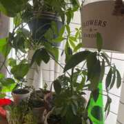 ヒメ日記 2025/05/28 09:28 投稿 なるみ 熟女デリヘル倶楽部