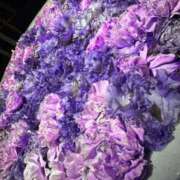 ヒメ日記 2024/12/23 20:27 投稿 ねむ 茨城神栖ちゃんこ