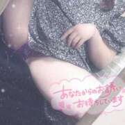 ヒメ日記 2026/03/21 12:48 投稿 ねむ 茨城神栖ちゃんこ