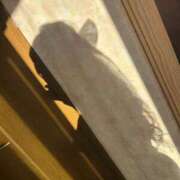 ヒメ日記 2026/03/27 19:22 投稿 まお 舐めていいとも！柏店