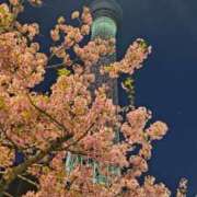 まみ こんばんは❤️ 花影（かえい）