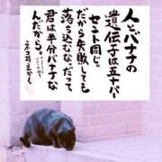 ヒメ日記 2026/10/08 19:28 投稿 まみ 花影（かえい）