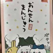 ヒメ日記 2026/10/09 18:29 投稿 まみ 花影（かえい）