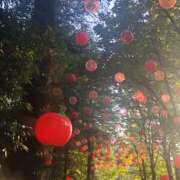 りんご ずっと行きたかった… 花影（かえい）