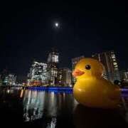 ヒメ日記 2024/12/27 22:07 投稿 かすみ 大奥 梅田店