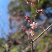 ヒメ日記 2025/03/27 11:57 投稿 かすみ 大奥 梅田店