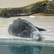 ヒメ日記 2025/05/01 10:41 投稿 かすみ 大奥 梅田店