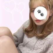 ヒメ日記 2025/02/01 00:00 投稿 ちわわ 世界のあんぷり亭 新宿総本店