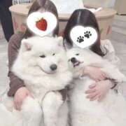 ヒメ日記 2025/04/05 06:00 投稿 ちわわ 世界のあんぷり亭 新宿総本店