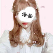 ヒメ日記 2025/04/26 12:00 投稿 ちわわ 世界のあんぷり亭 新宿総本店