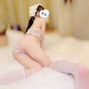 ヒメ日記 2025/07/18 18:00 投稿 ちわわ 世界のあんぷり亭 新宿総本店