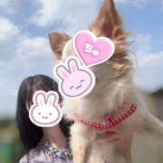 ヒメ日記 2025/08/24 00:01 投稿 ちわわ 世界のあんぷり亭 新宿総本店