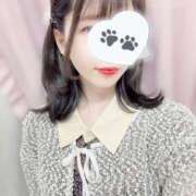 ヒメ日記 2025/10/05 00:00 投稿 ちわわ 世界のあんぷり亭 新宿総本店