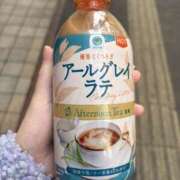 ヒメ日記 2025/12/07 00:00 投稿 ちわわ 世界のあんぷり亭 新宿総本店