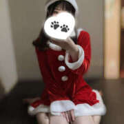 ヒメ日記 2025/12/20 21:00 投稿 ちわわ 世界のあんぷり亭 新宿総本店