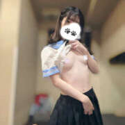 ヒメ日記 2026/01/07 21:00 投稿 ちわわ 世界のあんぷり亭 新宿総本店