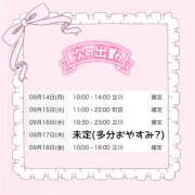 ヒメ日記 2026/09/14 00:05 投稿 ちわわ 世界のあんぷり亭 新宿総本店