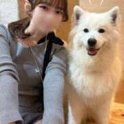 ヒメ日記 2026/04/10 19:02 投稿 ルリ Club Hearts