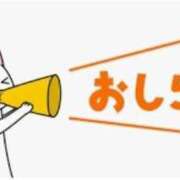 ヒメ日記 2024/10/31 15:37 投稿 ひろか 名古屋ちゃんこ