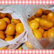 ヒメ日記 2024/12/24 22:19 投稿 ひろか 名古屋ちゃんこ