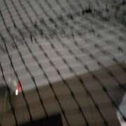 ヒメ日記 2024/12/27 19:29 投稿 ひろか 名古屋ちゃんこ