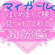 ヒメ日記 2024/12/29 15:02 投稿 ひろか 名古屋ちゃんこ