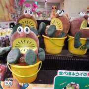 ヒメ日記 2024/12/29 23:27 投稿 ひろか 名古屋ちゃんこ