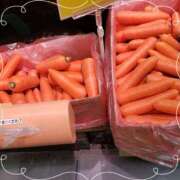 ヒメ日記 2025/01/07 15:57 投稿 ひろか 名古屋ちゃんこ