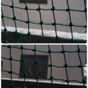 ヒメ日記 2025/01/10 06:57 投稿 ひろか 名古屋ちゃんこ