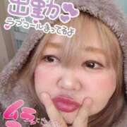 ヒメ日記 2025/02/12 15:17 投稿 ひろか 名古屋ちゃんこ