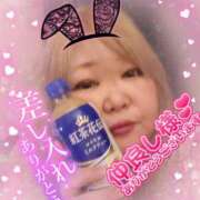 ヒメ日記 2025/02/14 01:27 投稿 ひろか 名古屋ちゃんこ