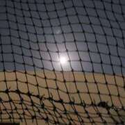 ヒメ日記 2025/02/14 22:17 投稿 ひろか 名古屋ちゃんこ