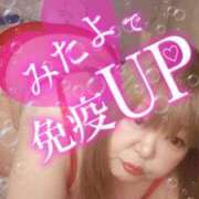 ヒメ日記 2025/02/15 18:27 投稿 ひろか 名古屋ちゃんこ