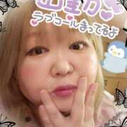 ヒメ日記 2025/02/17 16:20 投稿 ひろか 名古屋ちゃんこ