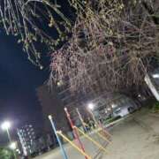 ヒメ日記 2025/02/18 15:44 投稿 ひろか 名古屋ちゃんこ