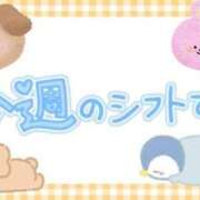 ヒメ日記 2025/02/19 16:57 投稿 ひろか 名古屋ちゃんこ